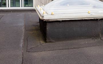 disadvantages of Tafarn Y Bwlch flat roofs