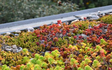 the cost of Tafarn Y Bwlch green roof installation
