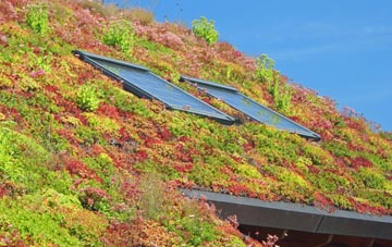Tafarn Y Bwlch living roof systems